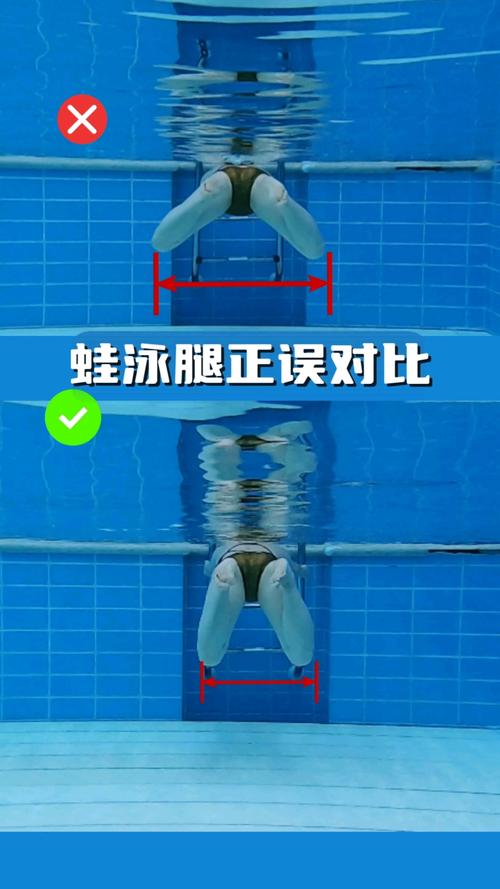 蛙泳翻脚动作正确错误对比图