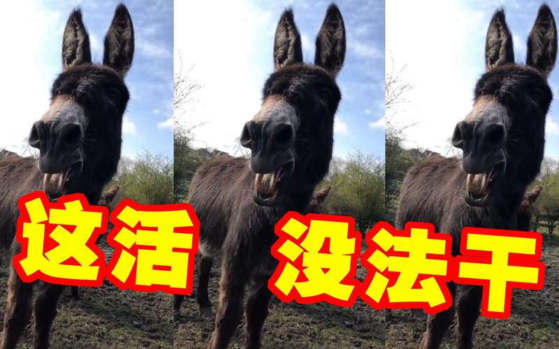 这活，差一点都不行