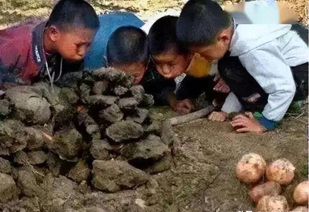 为什么人越老，童年回忆越清晰