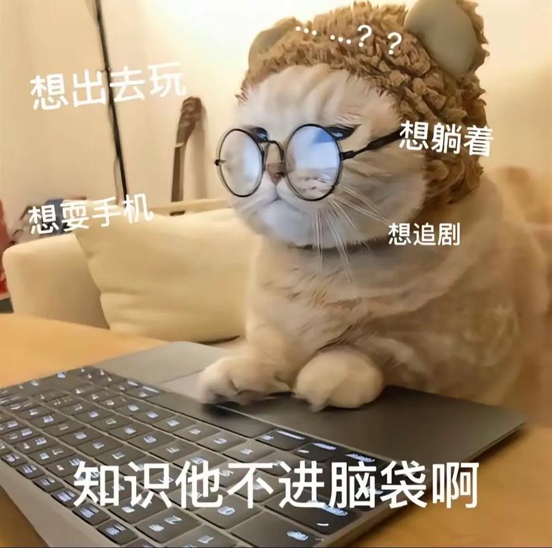 进不了大厂,这学白上了?真不是
