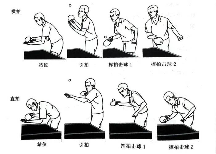 乒乓球发球:被九成新手忽略的基础得分密码-如东教育网