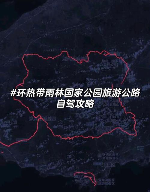 为什么树林里走一圈,反而不那么堵了?