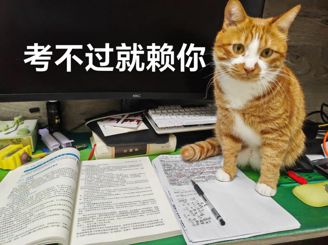 培训者，别只做“题狗”
