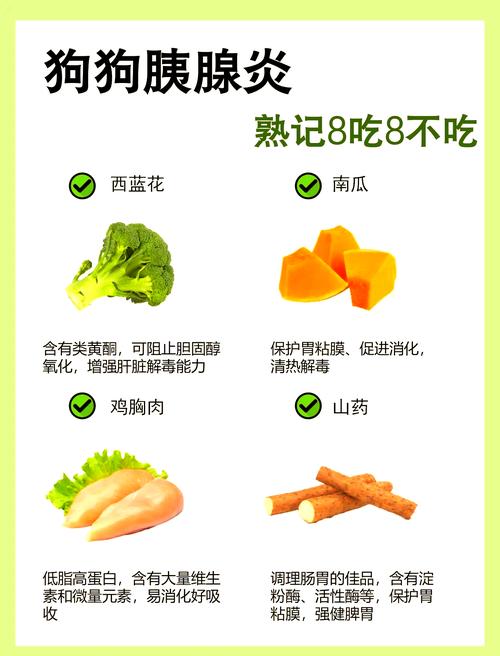 容易诱发宠物胰腺炎的常见鲜食食材清单