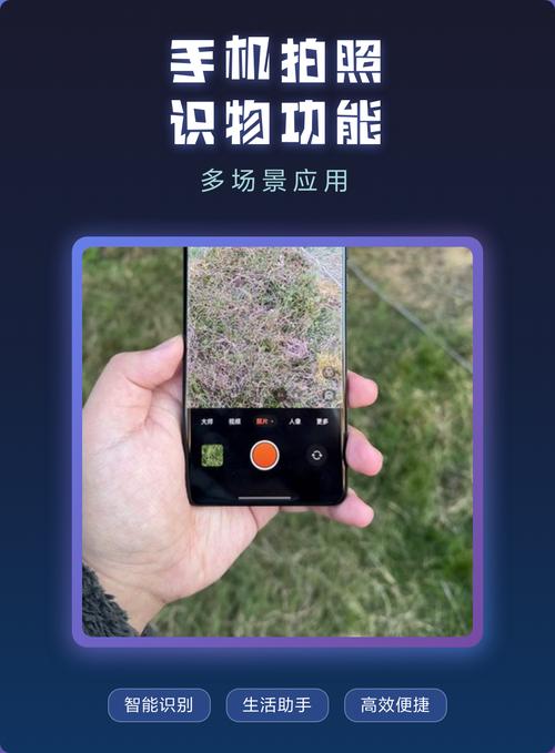 手机拍照识花多模态检索场景图