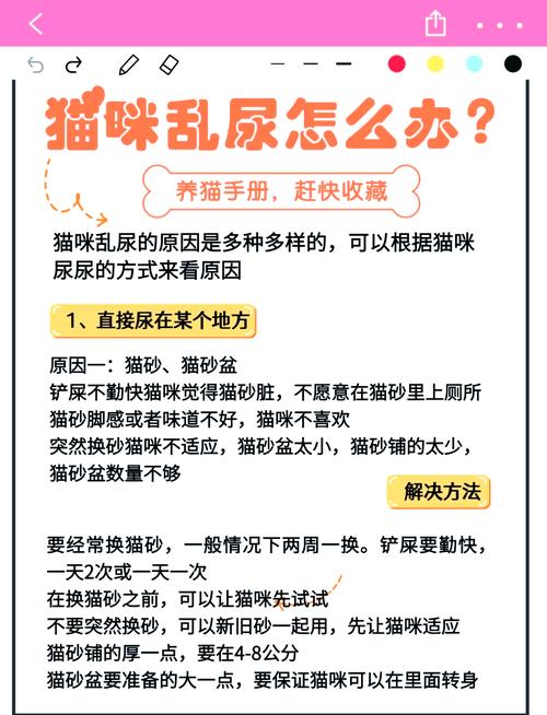 试过这些方法,多数乱尿都能解决