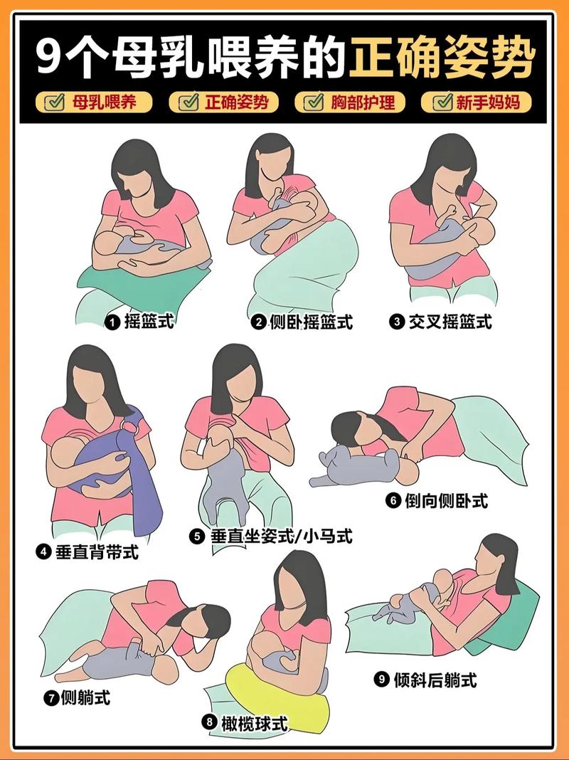 新手父母母乳喂养正确含乳姿势示意图