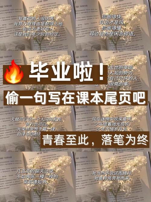 写在最后(真的最后了)