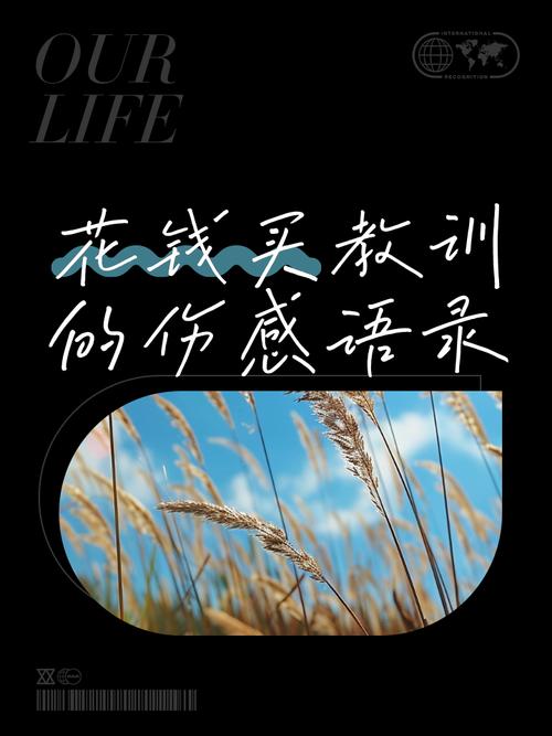 那些花钱买来的教训
