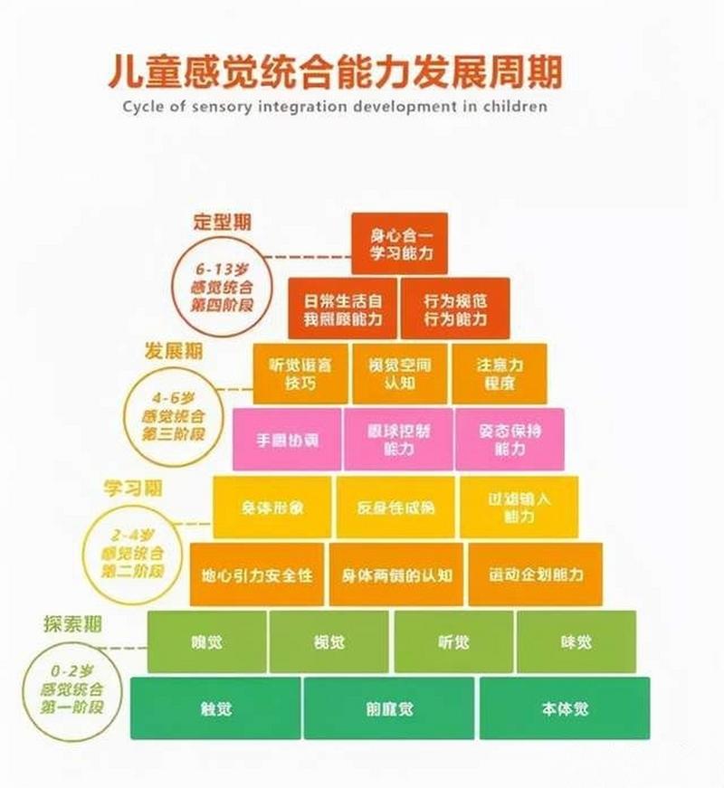 0-6岁儿童感统能力发展阶段示意图