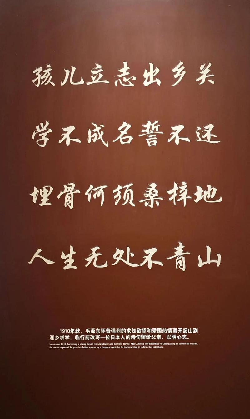 别把所有赌注都压在“冲名校”这一件事上