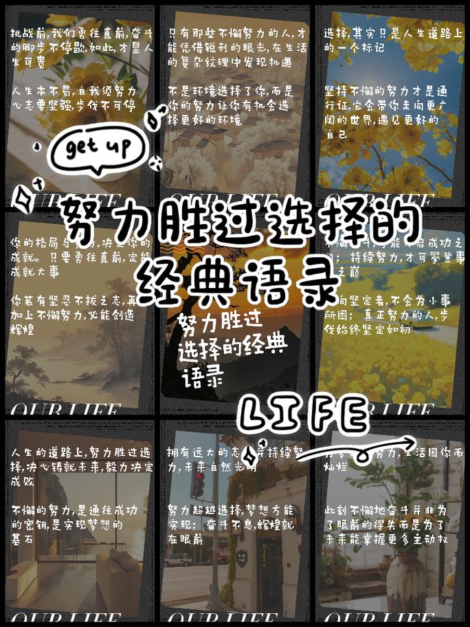 结语：理性选择的最终得分