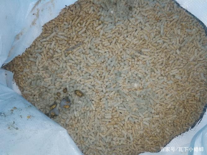 长虫变质的散装杂粮实拍