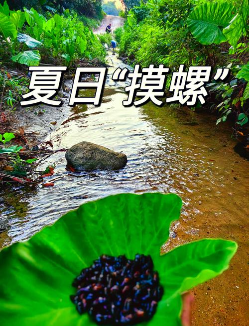 摸得到的山野小乐趣
