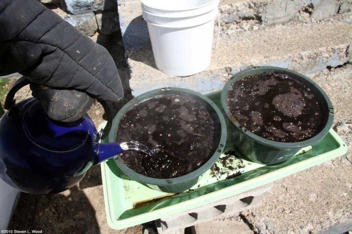 花土循环利用第一步：先给旧土做清洁消毒