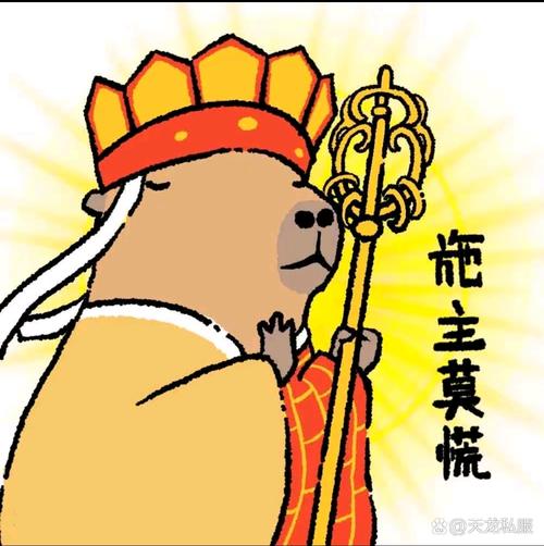 我和这块发呆位的渊源