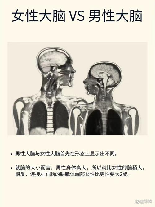 爸爸和妈妈的大脑，真的不一样