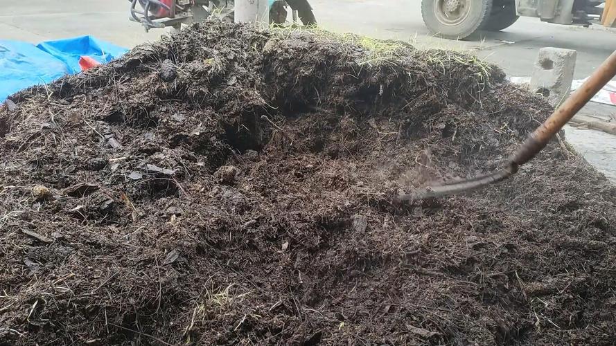 松针堆肥翻堆过程水分控制实拍