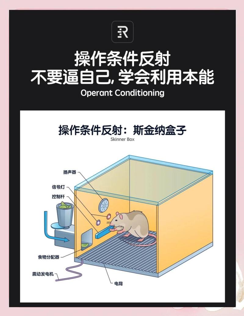实操工具箱：三招让你从爆发边缘拉回理性