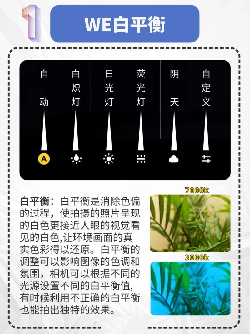手机摄影专业模式手动白平衡调色对比