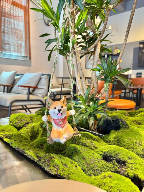 宠物友好型室内绿植摆放设计