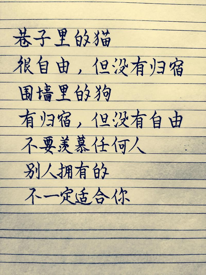 还是那句话，适合别人的，不一定适合你