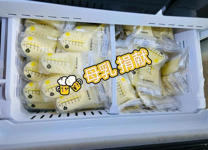 医院NICU冷藏柜存放捐赠母乳