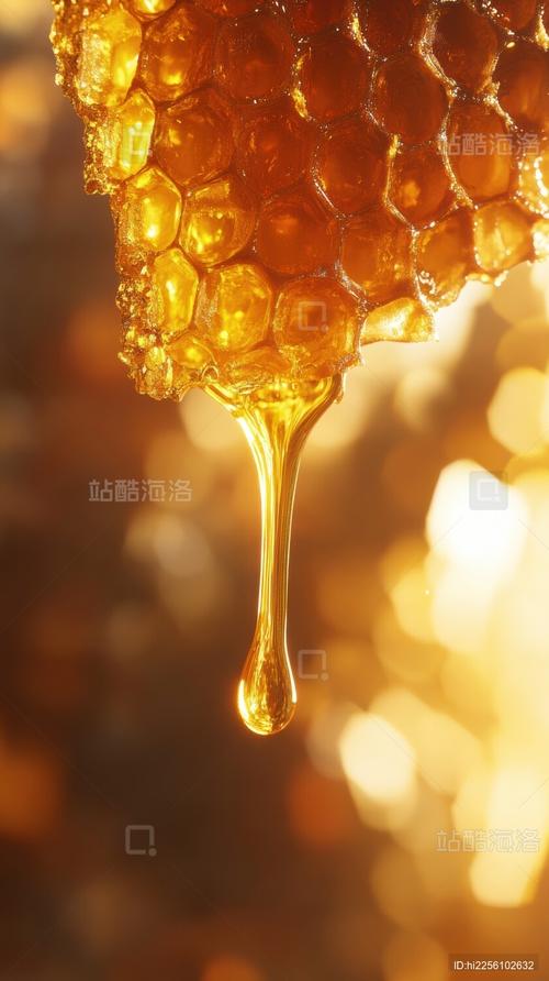 蜂蜜的真相:我花了十年才分清超市里的糖浆和蜜-因为所以
