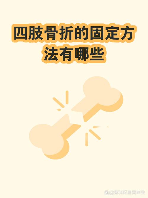 宠物四肢骨折临时夹板固定示意图