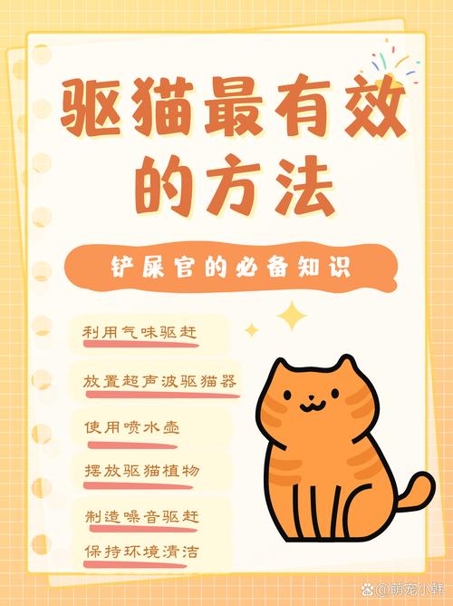 别为了除个臭,把人和猫都折腾出毛病
