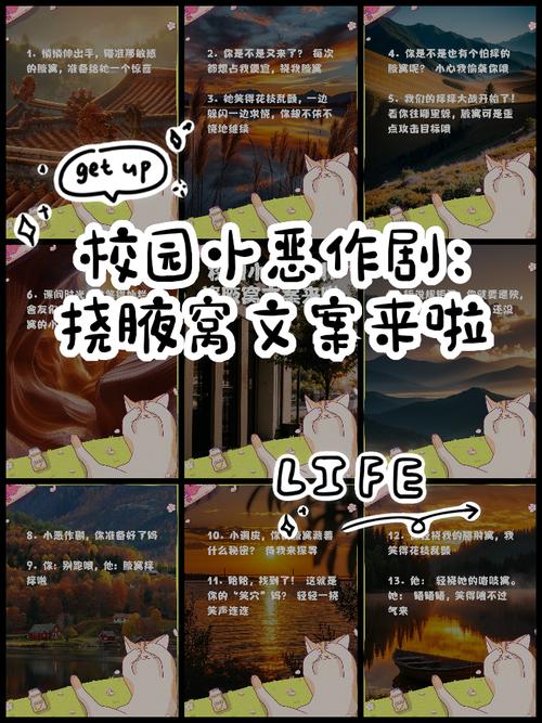 C语言:学校的最爱,新手的噩梦