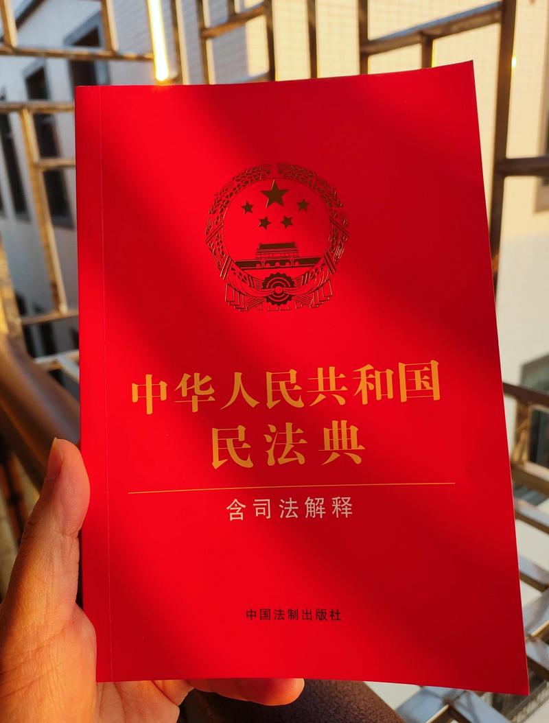 民法典全文印刷本实拍