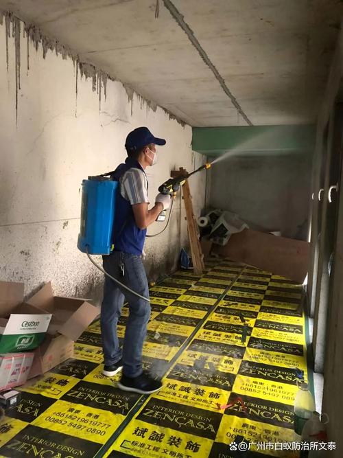 装修防白蚁药物喷涂施工图