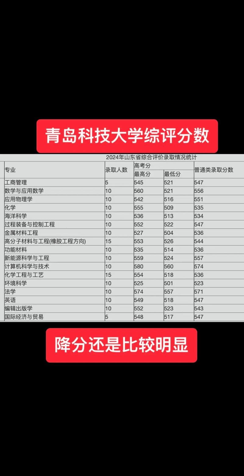新高考综评录取分数构成公示截图