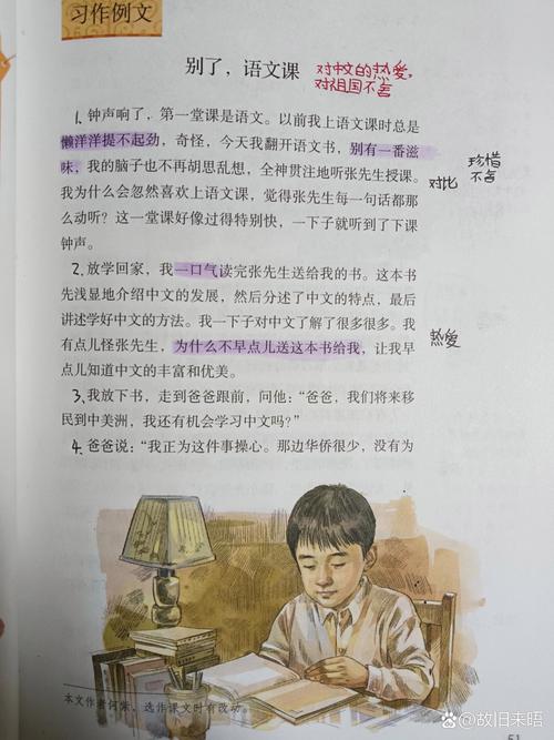 别丢了单篇精读的根