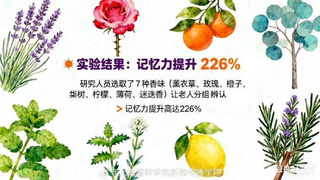 气味与记忆，以及一点实用建议