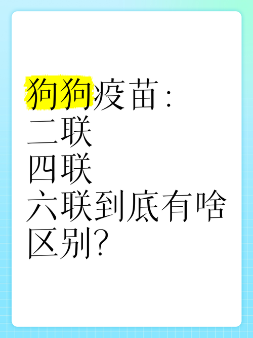 狗狗疫苗:不同联数到底差在哪