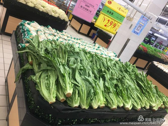 超市冷柜区挑选新鲜油麦菜场景