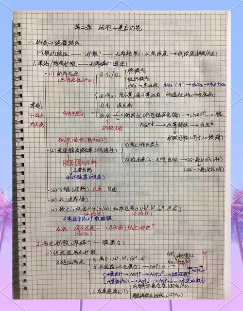业余时间学习转行技能手绘笔记