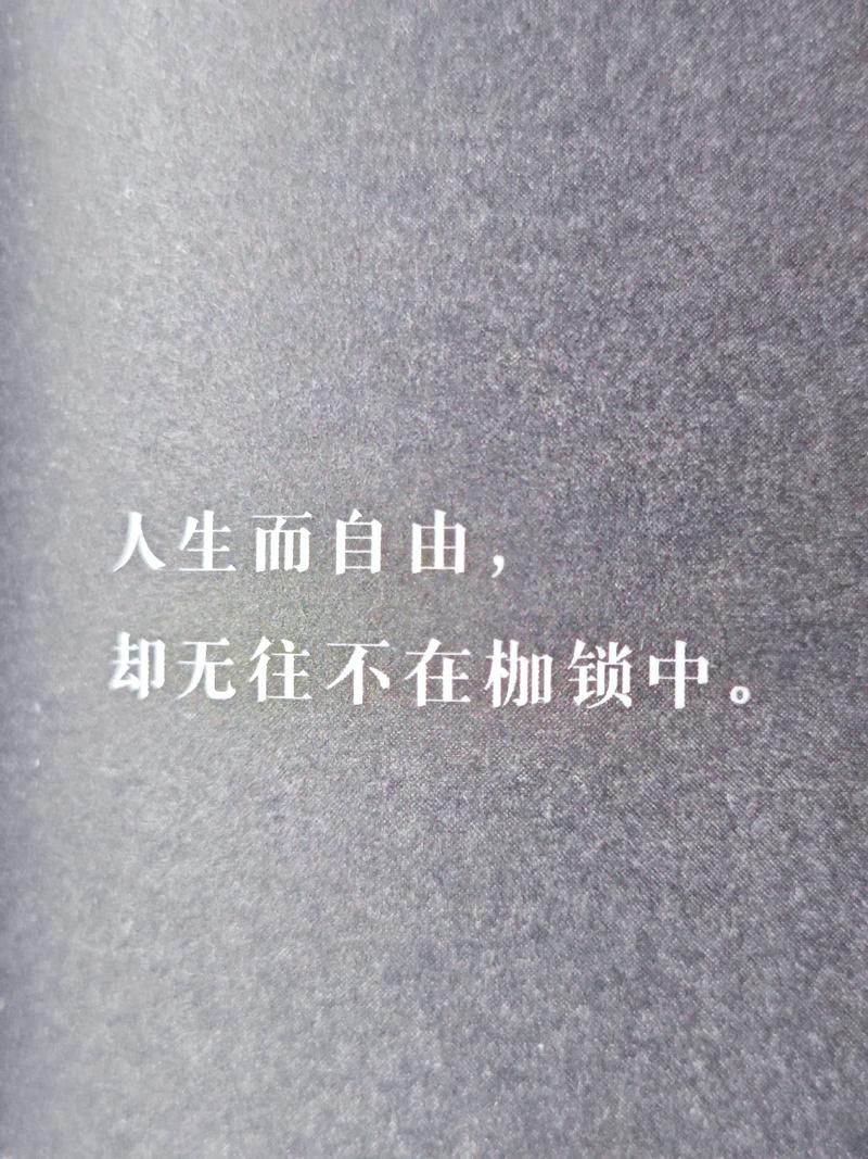你以为的自由，其实是更大的牢笼