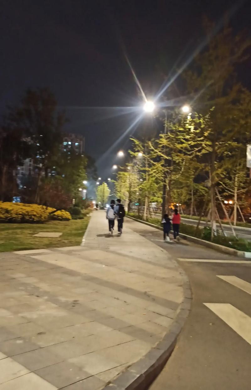 中考考生晚饭后公园散步实拍