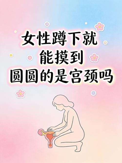 自己蹲下来摸两下，半分钟就能查出来