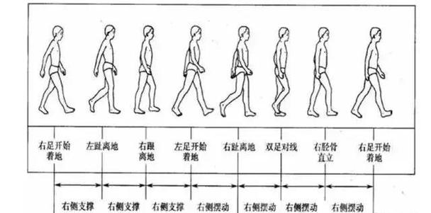 顺着规律走，比追着速度跑舒服多了