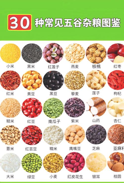 家庭餐桌常见多种全谷物食材展示图
