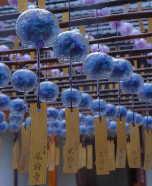 风铃这种玩意儿，为什么总让人想家？-因为所以