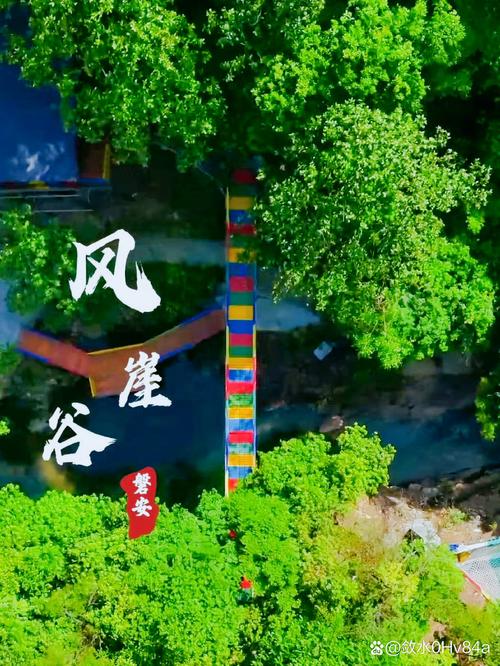 深山里的慢游体验