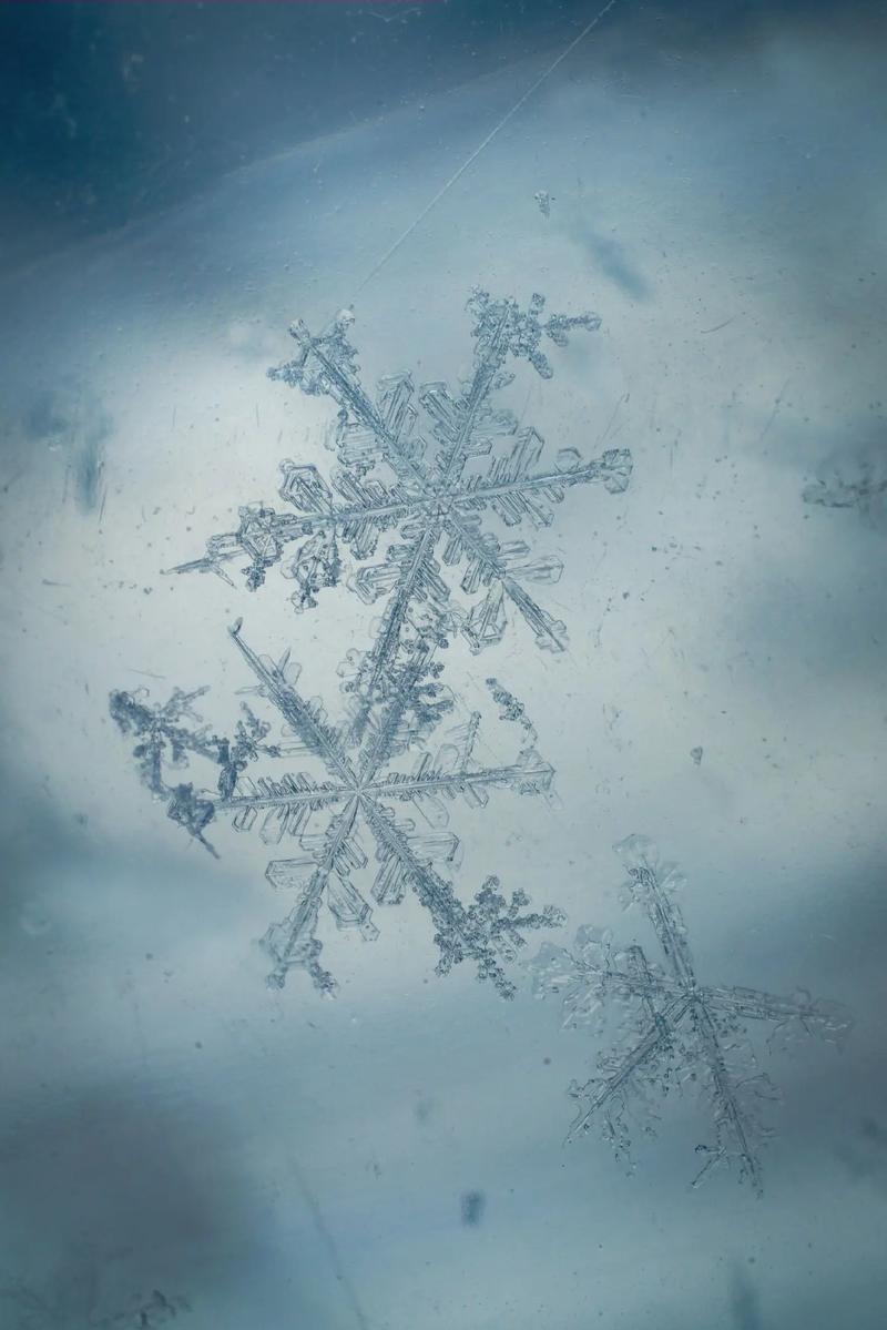 没有两片雪花相同?