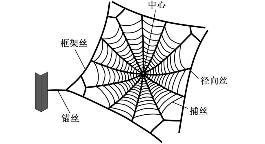 儿童联想记忆蜘蛛网认知结构图