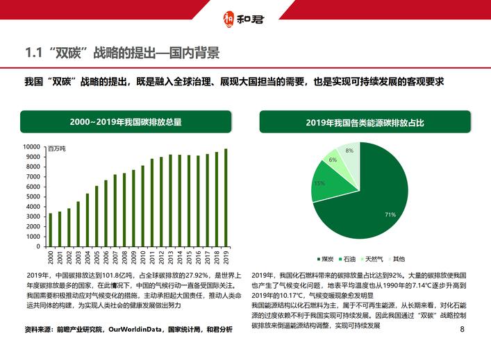 四、备选方案与灰色地带