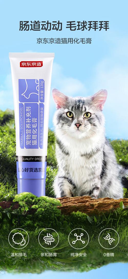 家庭常备猫咪肠胃护理用品实拍图